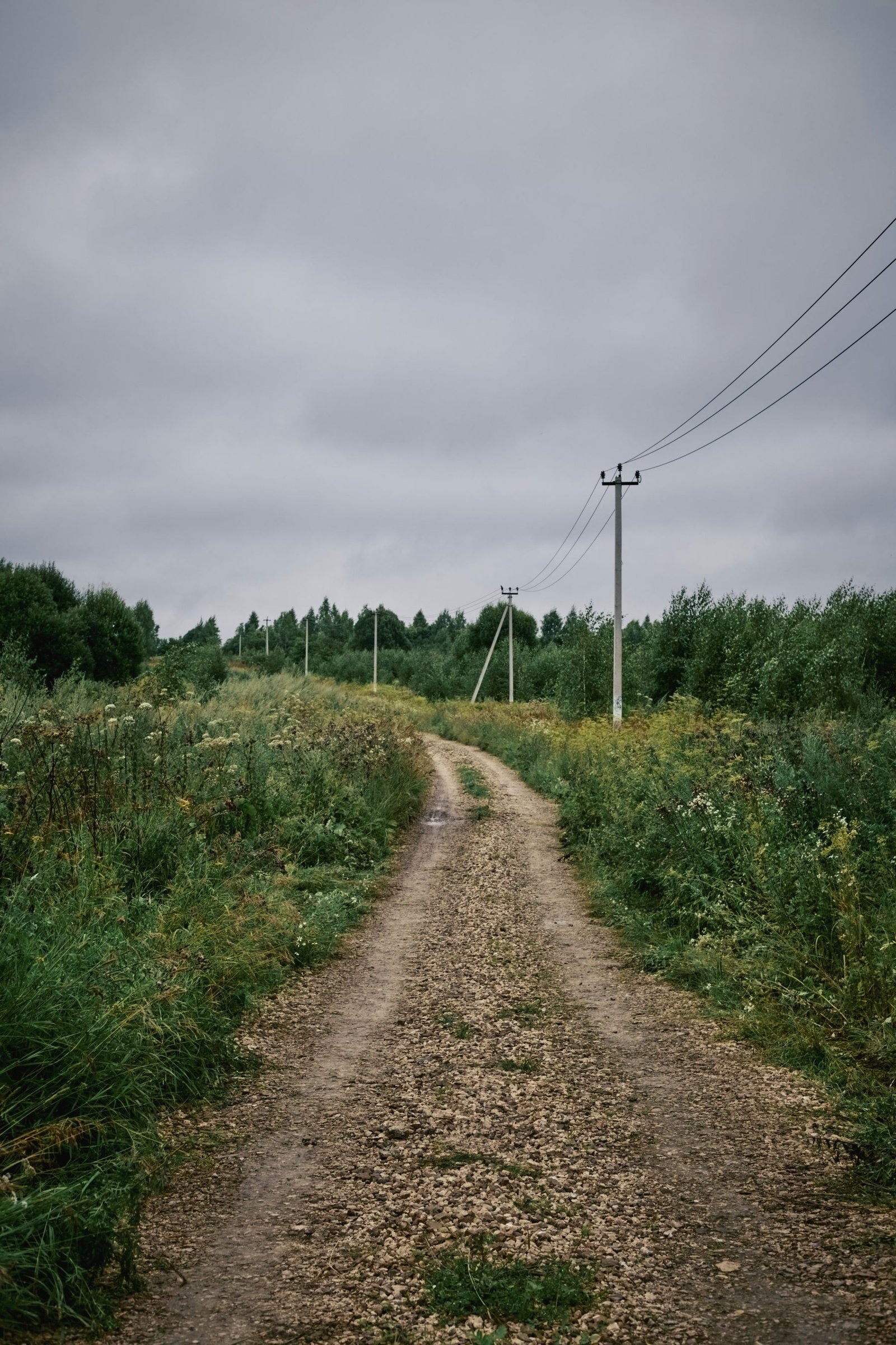 A rough farm track running between fields with power lines crossing above.