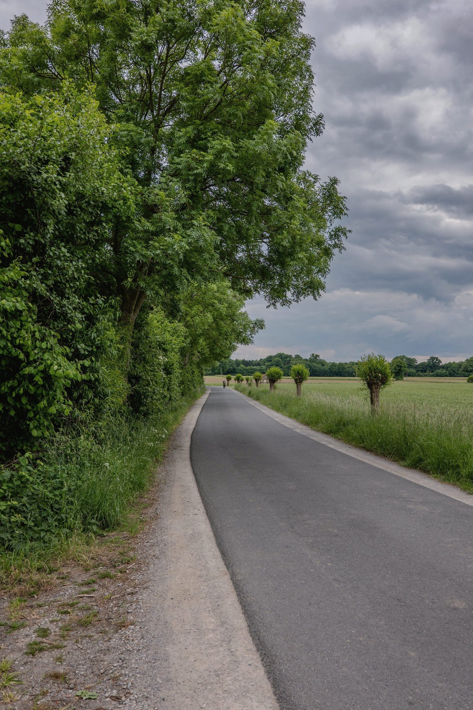 A country road curving between hedgerows and open fields.