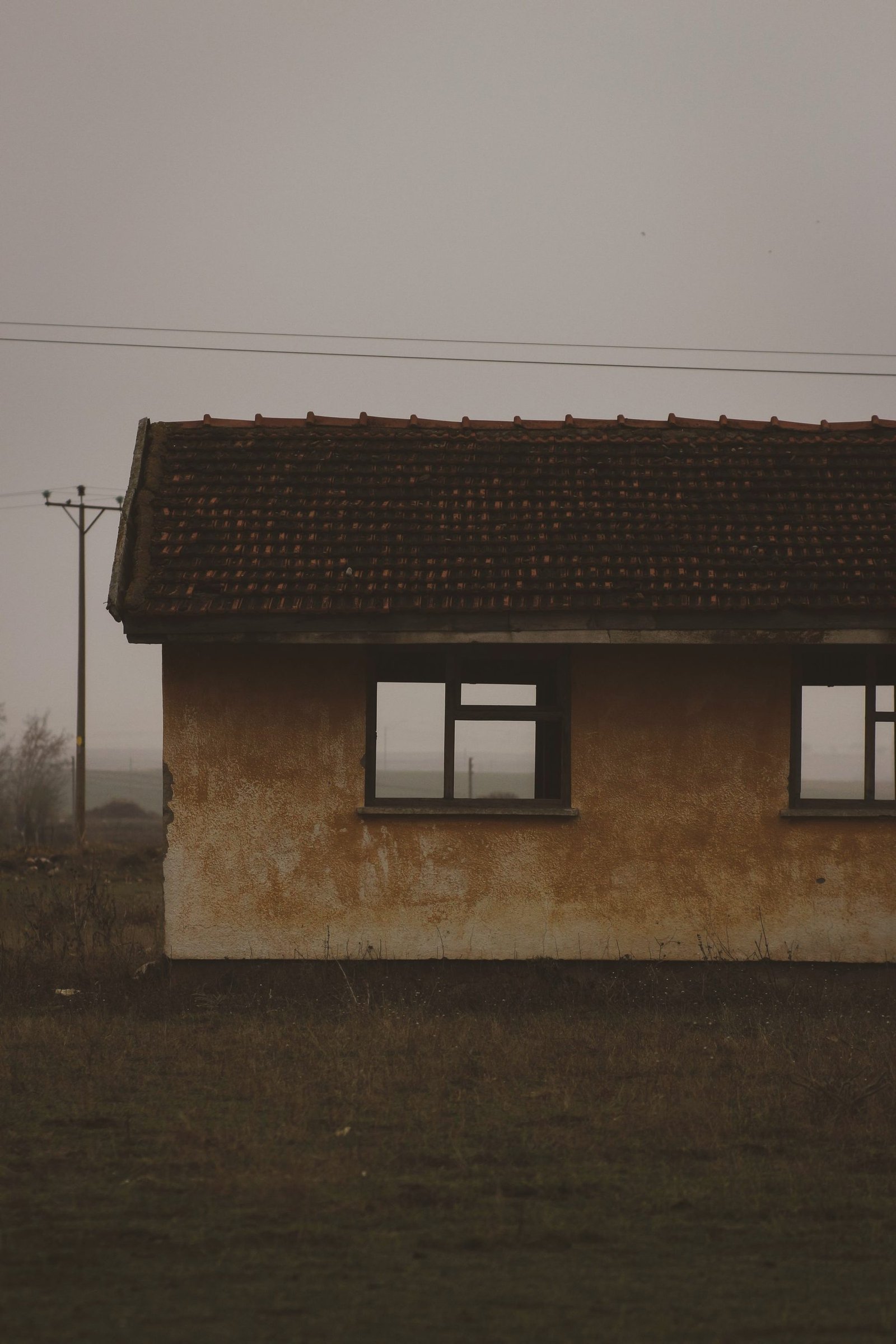 A small weatherboarded house standing in fog.